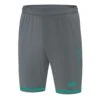 Jako - Football Shorts Striker 2.0 - Sporthose Striker 2.0 -Shorts Poloshirts Geschaft 4429 24 39741