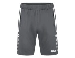Jako - Training Short Allround - Grey Shorts Men