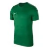 Nike - Dry Park 18 SS Top - Grünes Fußballtrikot -Shorts Poloshirts Geschaft AA2046 302 38607