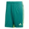 Adidas - Tastigo 19 Short - Grüne Fußballshorts -Shorts Poloshirts Geschaft DP3251 44451