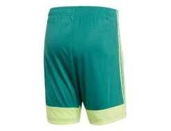 Adidas - Tastigo 19 Short - Grüne Fußballshorts -Shorts Poloshirts Geschaft DP3251 44451 1
