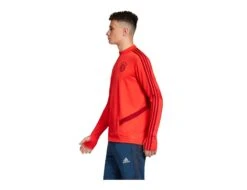 Adidas - FC Bayern München Training Top - FC Bayern München Shirt -Shorts Poloshirts Geschaft DX9159 39346 3