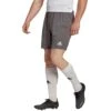 Adidas - Entrada 22 Shorts - Grey Shorts Men -Shorts Poloshirts Geschaft adidas h57505