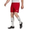 Adidas - Entrada 22 Shorts - Football Shorts Men -Shorts Poloshirts Geschaft adidas h61735