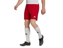 Adidas - Entrada 22 Shorts - Football Shorts Men