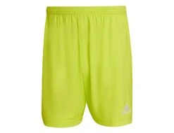 Adidas - Entrada 22 Shorts - Shorts -Shorts Poloshirts Geschaft adidas hc5061e