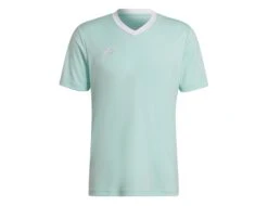 Adidas - Entrada 22 Jersey - Mint Green Jersey -Shorts Poloshirts Geschaft adidas hc5073e