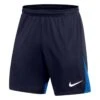 Nike - Dri-FIT Academy Pro Shorts - Men's Shorts